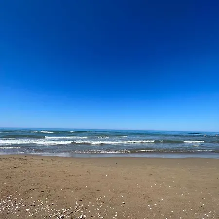 The Seaside - *