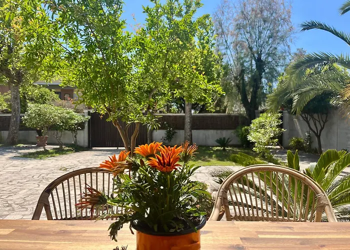 The Seaside - Άντζιο